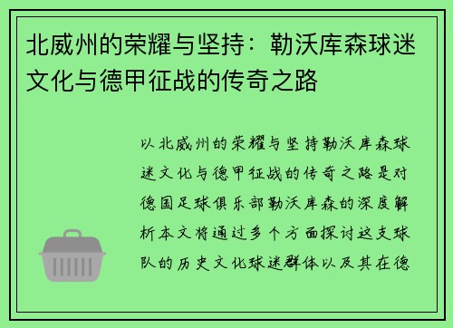 北威州的荣耀与坚持：勒沃库森球迷文化与德甲征战的传奇之路